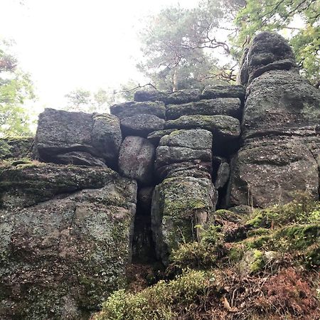 Gite Habsiger Lägenhet Ottrott Exteriör bild